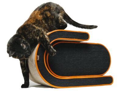 Fun for Pets, Healthy for the Planet